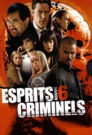 Esprits criminels Saison 6 en streaming